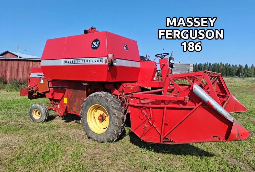 Massey Ferguson 186 leikkuupuimuri – VIDEO